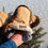 Thumbnail: Beaver Mitts