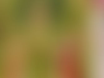 Ragacast ⦿ Raga Jhinjhoti ⦿ Episode 2: Alap & Jod