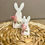 Miniaturbild: Hasen mit Trockenblumen