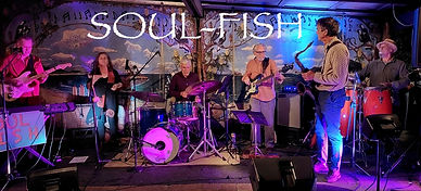 Soul-fish_edited.jpg