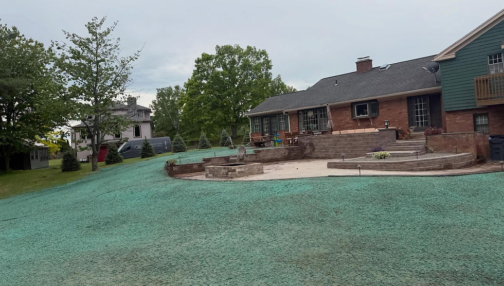 Hydroseeding.jpg