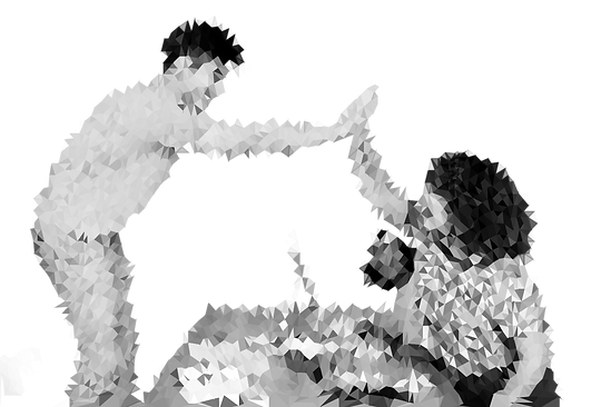 triangulated-image (2).png