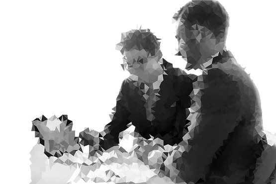 triangulated-image (1).png