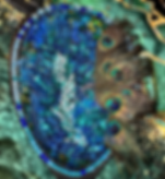 Exquisite Peacock Mirror