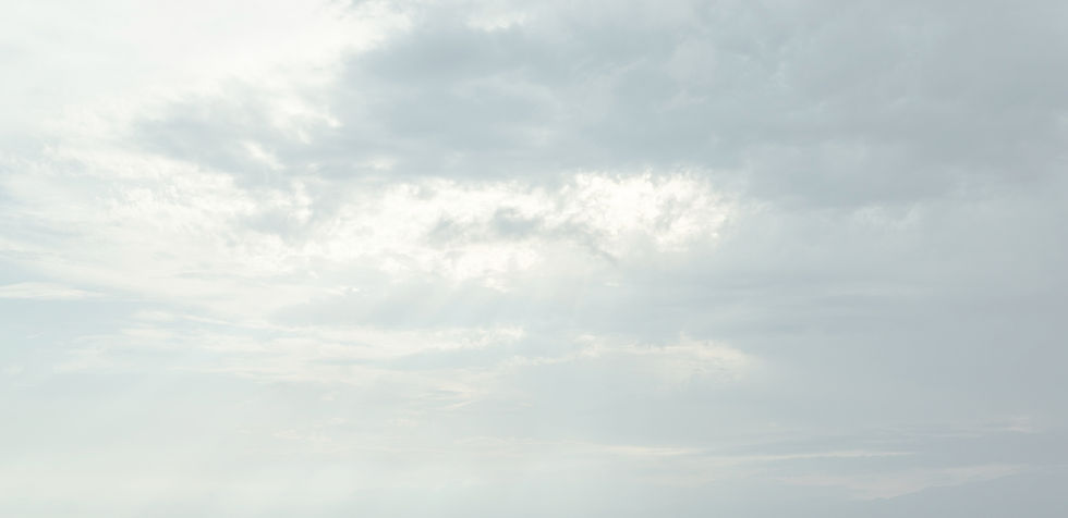 background 6_edited.jpg