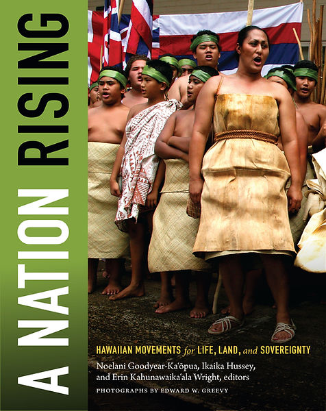 A Nation Rising cover high res.jpg