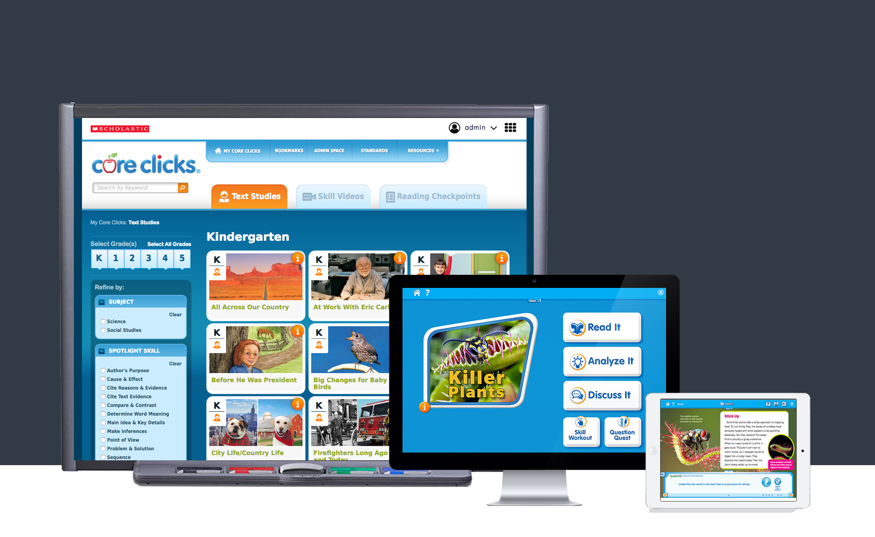 WEB / UX