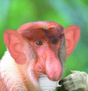 monkey_edited.jpg