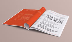 Brand Guideline Development