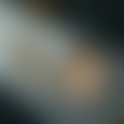 Politik Pecah Belah dan Penghianatan: Warisan Kolonial Belanda yang Masih Bertahan di Indonesia