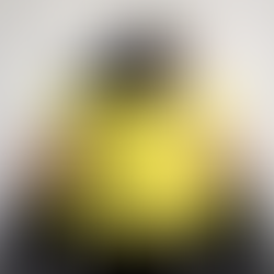 The Idiot dalam Politik: Ketika Kebodohan Menjadi Instrumen Kekuasaan