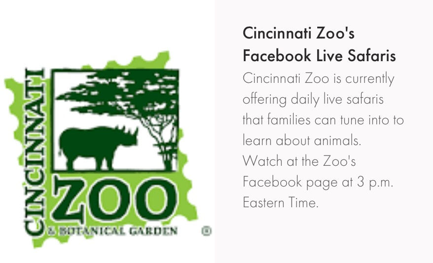 Stuck inside... Visit the Zoo!