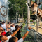 Maravillas marinas al alcance: Visita el Acuario Interactivo de Houston