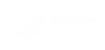 Copy of SW Logo (1).webp
