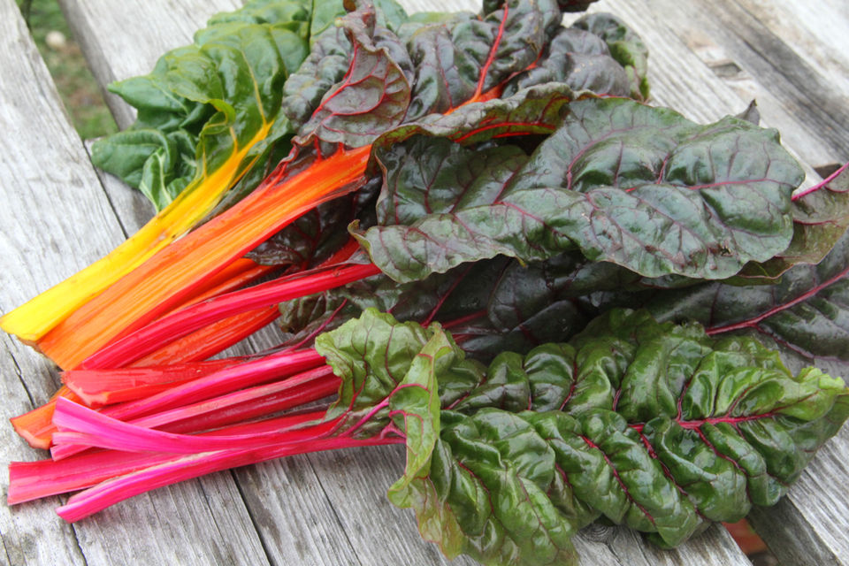 rainbow chard displayed on a wooden table