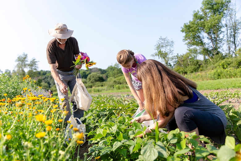 Family picking flowers at a farm