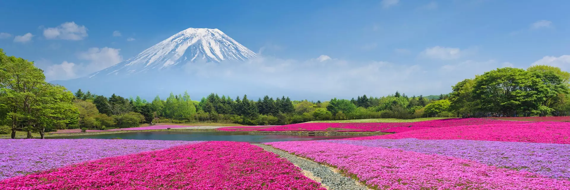 ¿Sabes cuando visitar japon? Landscapes of Asia te ofrece las mejores ofertas de viajes a japon en la mejor epoca para visitar japon, tokio, kyoto o el monte fuji. Aprovecha los mejores precios con la oferta anticipada de viajes a japon con Landscapes of Asia
