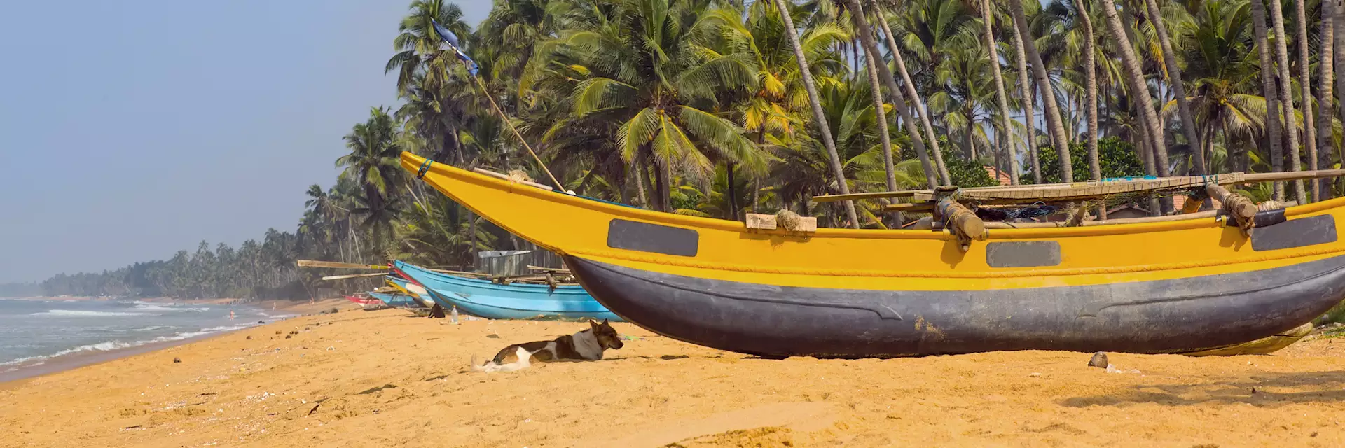 Viaja a Sri Lanka y visita la playa de wadduwa beach con Landscapes of Asia y aprovecha las mejores ofertas con el descuento por reserva anticipada. Viaja en la mejor epoca para visitar Sri Lanka