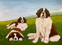 Man's Best Friend X 3