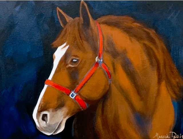 Sold - AB's Horse