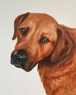 SOLD - Moose