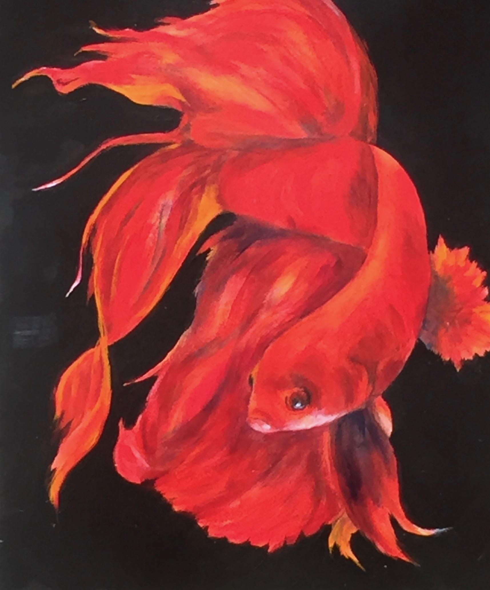Red Fish