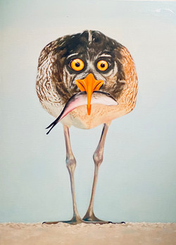 SOLD - April Fools Bird
