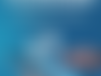 Best Woocommerce Web Developers Delhi | iMark Infotech