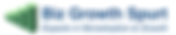 Pricing Strategy Consulting London | Biz Growth Spurt