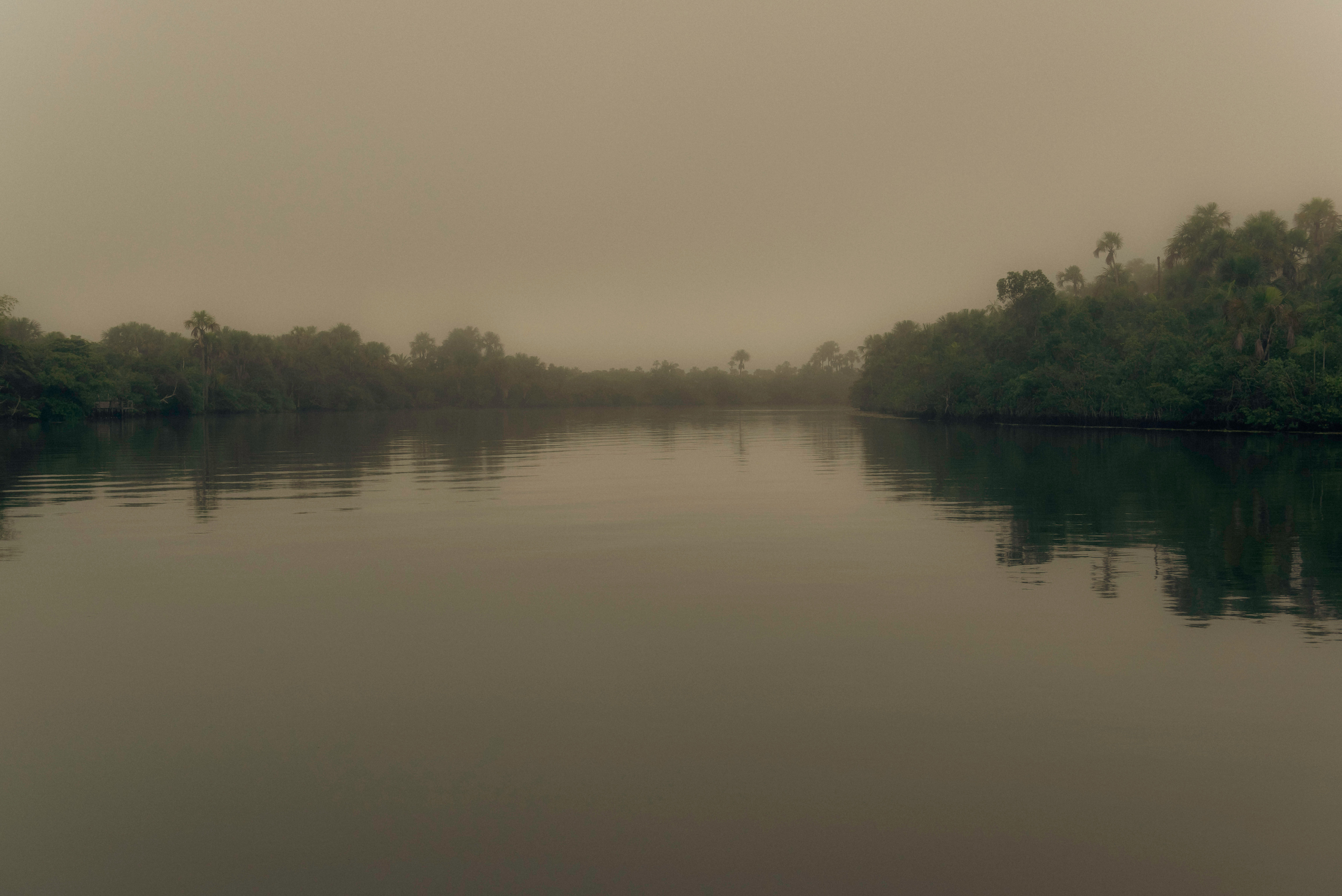 Névoa matinal - Rio Preguiças - Barreirinhas - MA