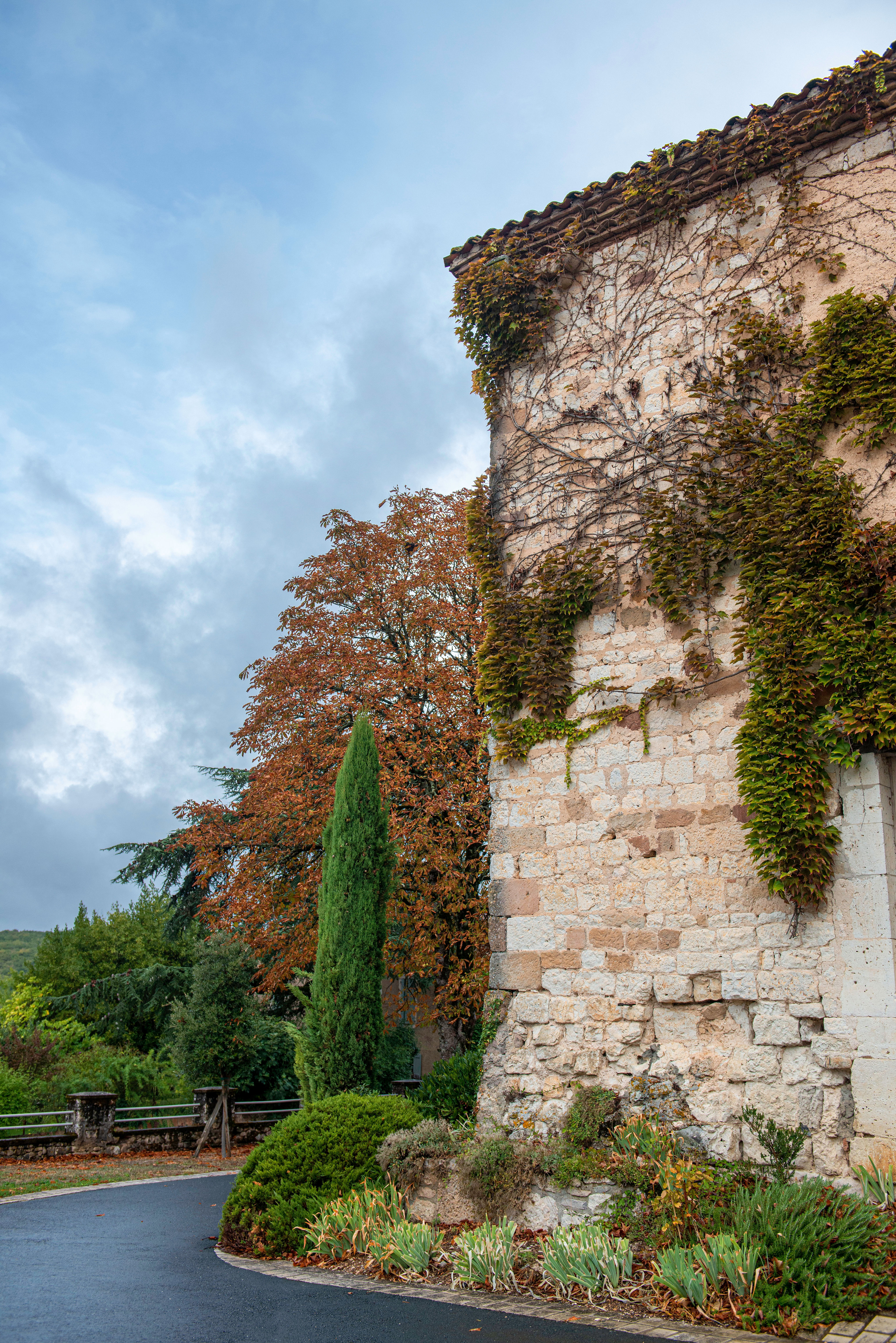 Parede e cipreste - Campagnac - França