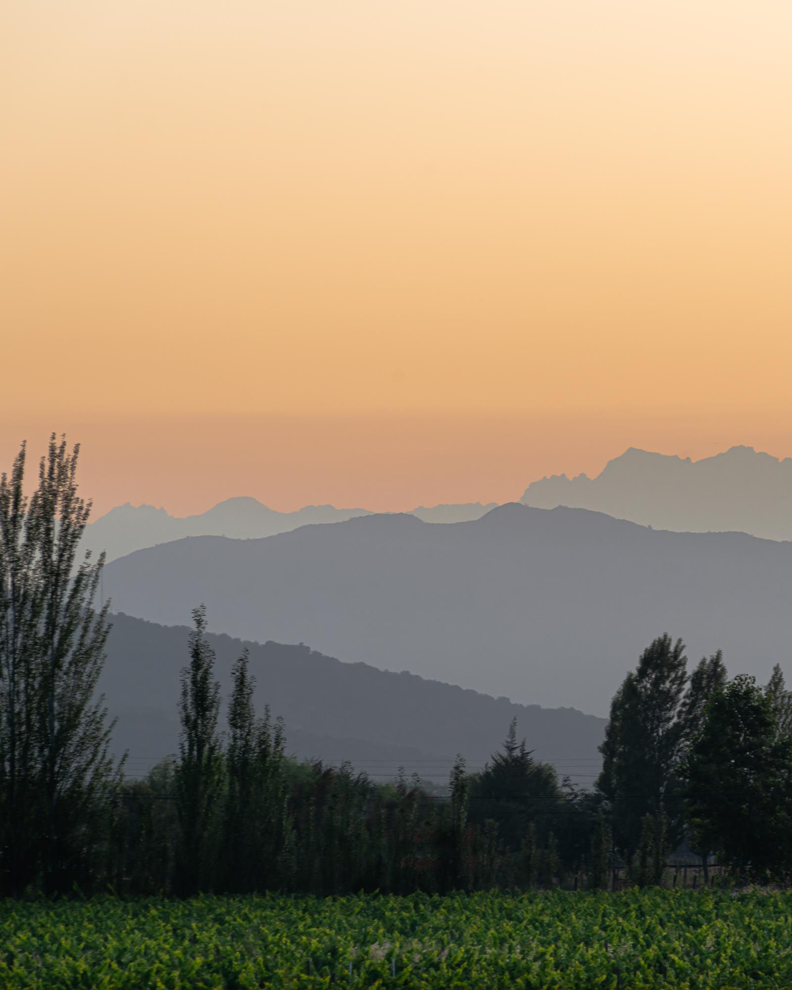 Montanhas de Santa Cruz -Vale do Colchagua - Chile