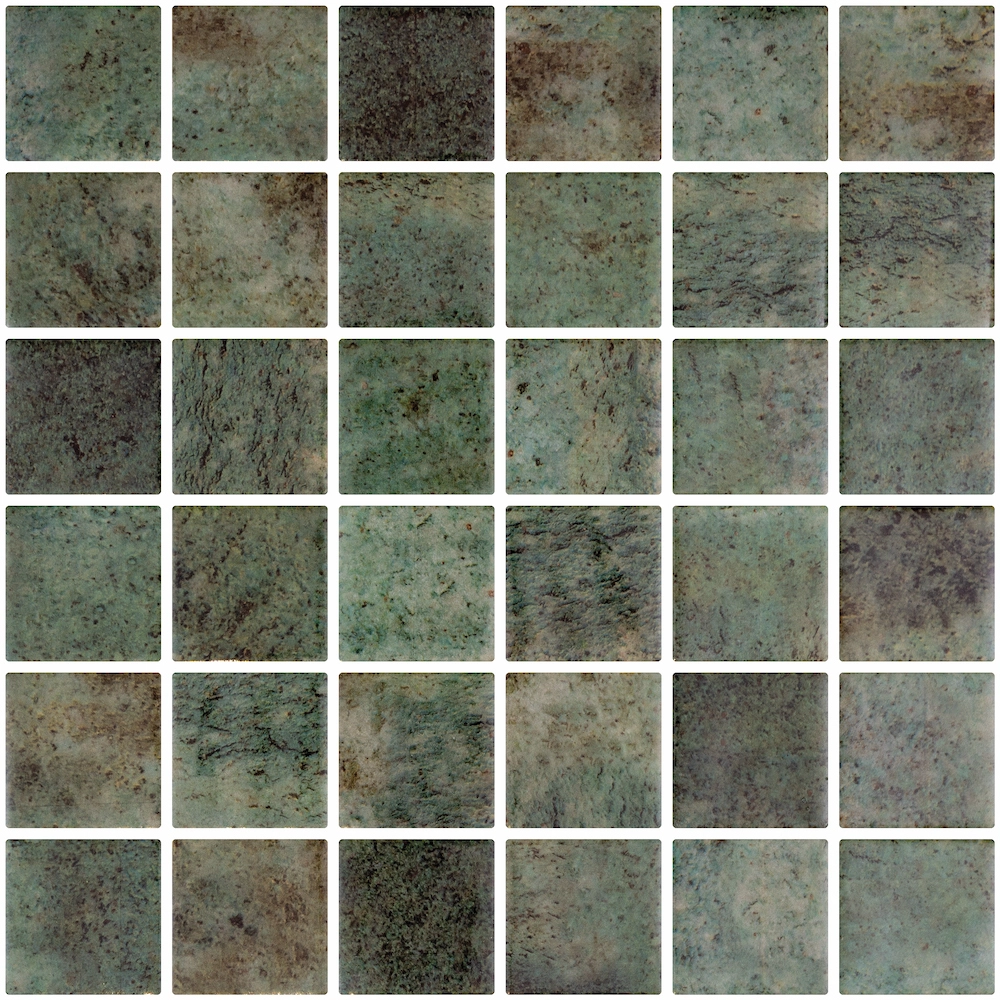 TRACE.webp