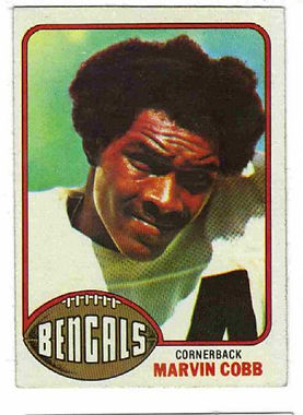GFL Mentor - Marvin Cobb