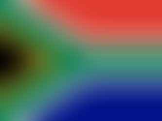 Protest to Vigilantism: South Africa’s Anti-Immigration Crisis