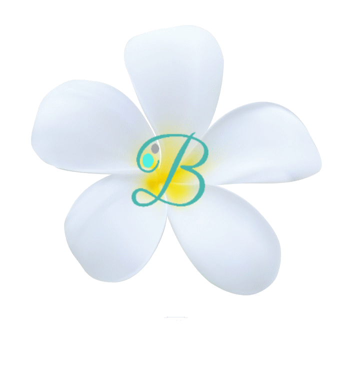 Bildmarke neuer B ohne hintergrund gif.gif