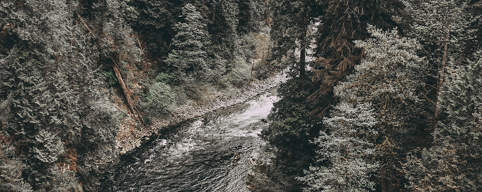 Wild River