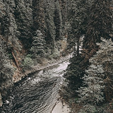 Wild River