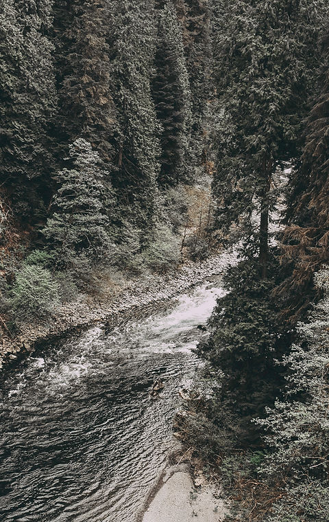 Wild River