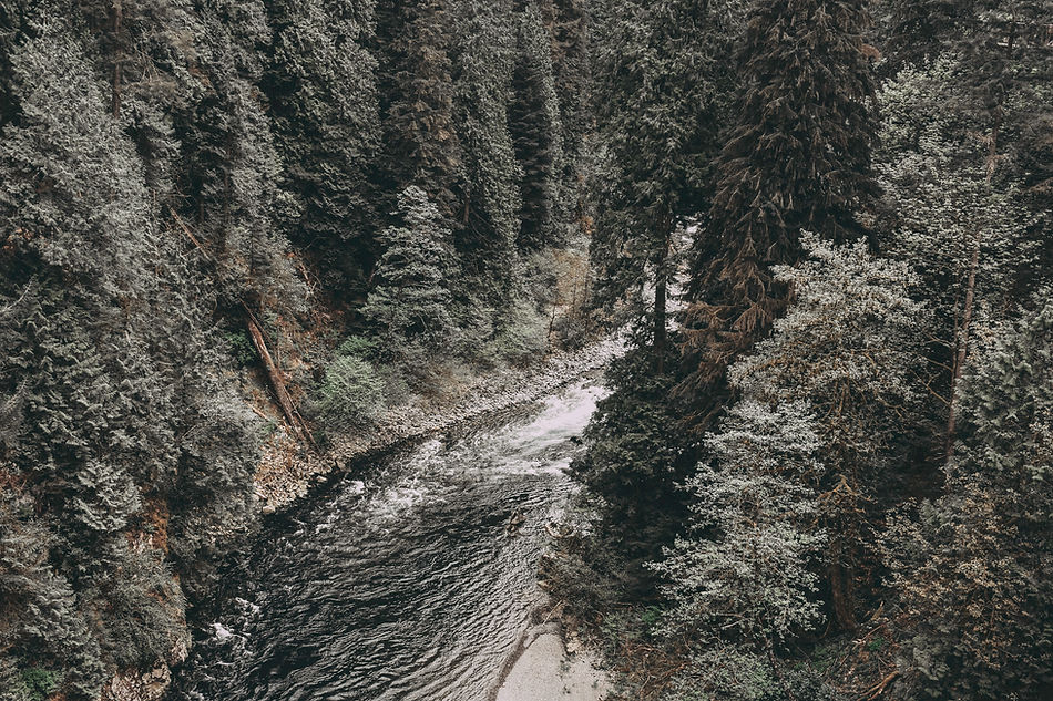 Wild River