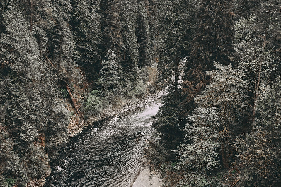 Wild River