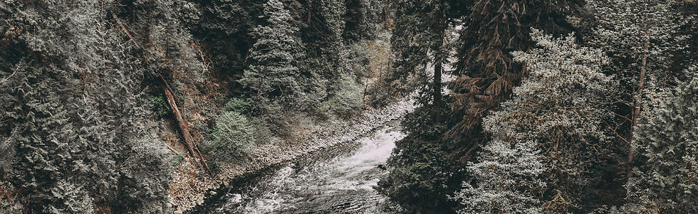 Wild River