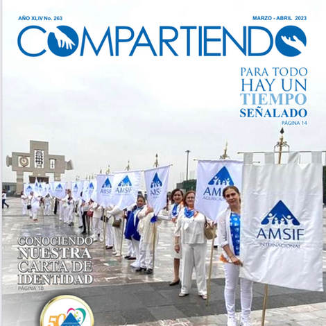 Revista marzo abril amsif