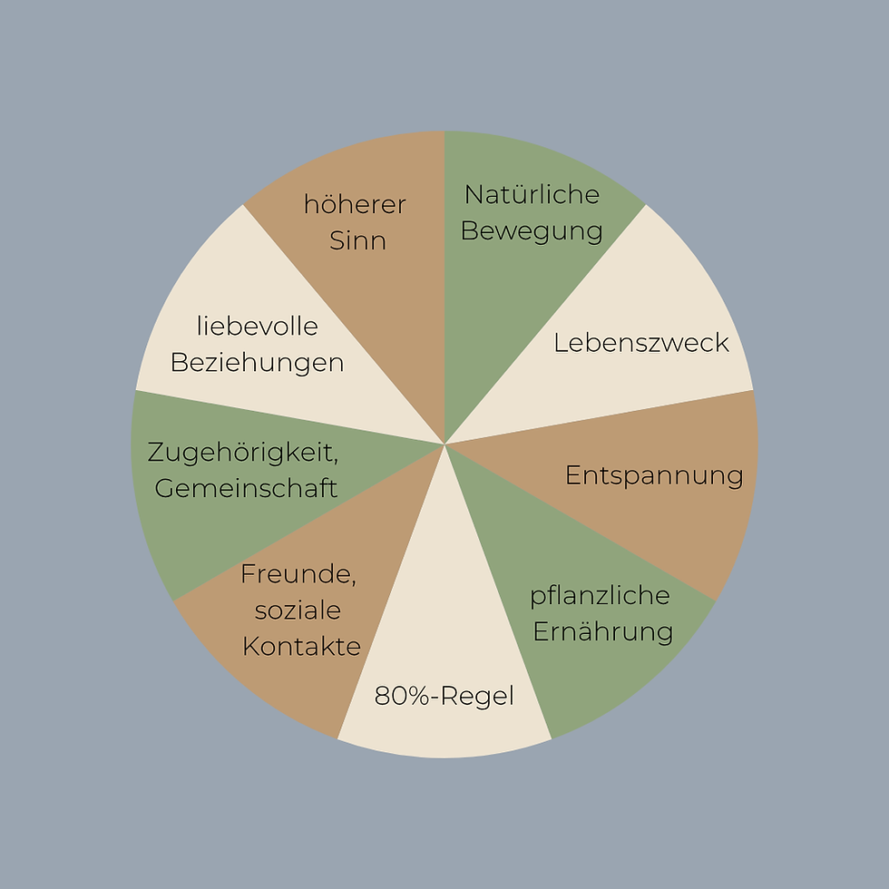 Kreisdiagramm mit Faktoren Blue Zones