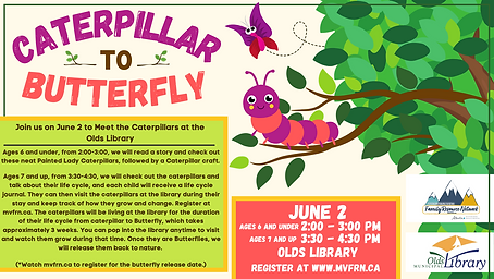 Caterpillar to Butterfly (9).png