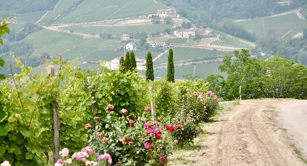 Piedmont walking tour