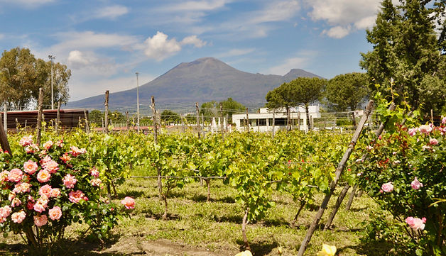 Where to go in Pompeii - Bosco de Medici winery