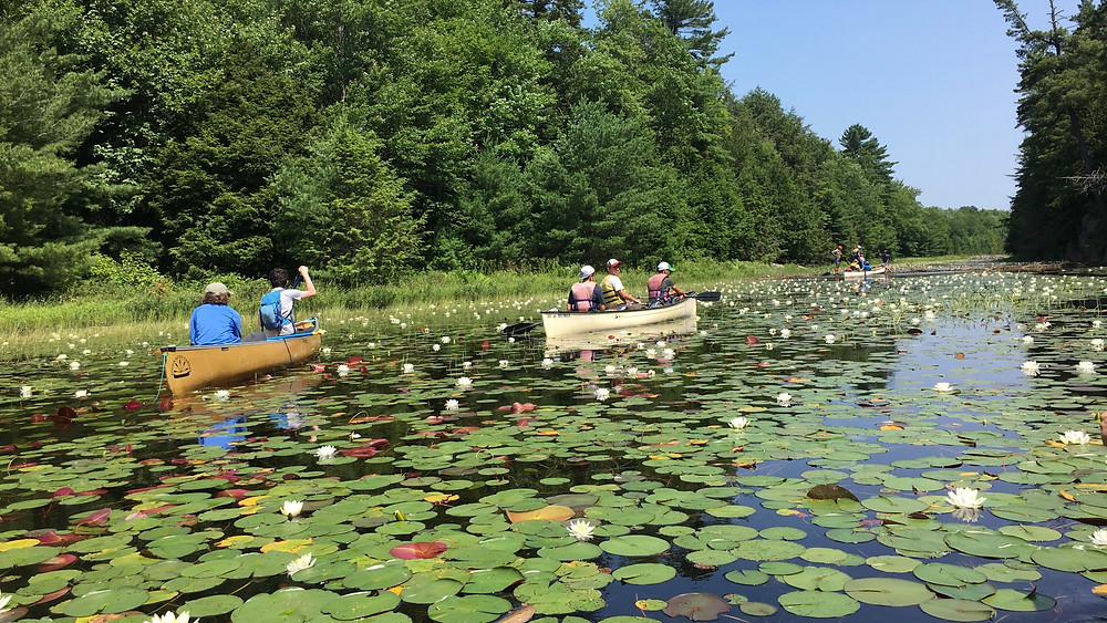 Killarney Canoe Trip - Where to go in Killarney