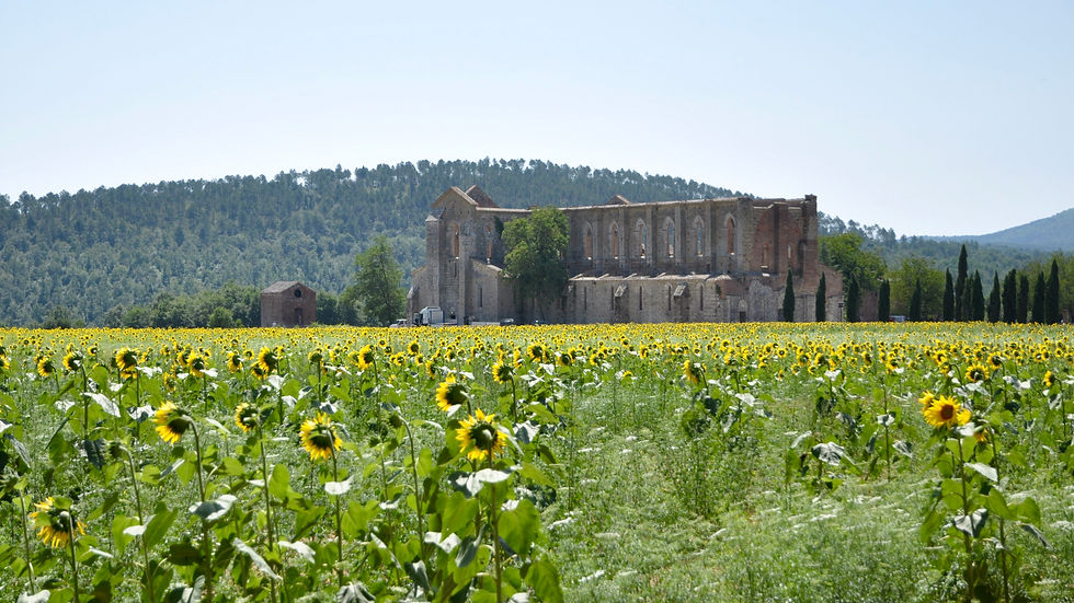 Things To Do In Tuscany Italy Europe
