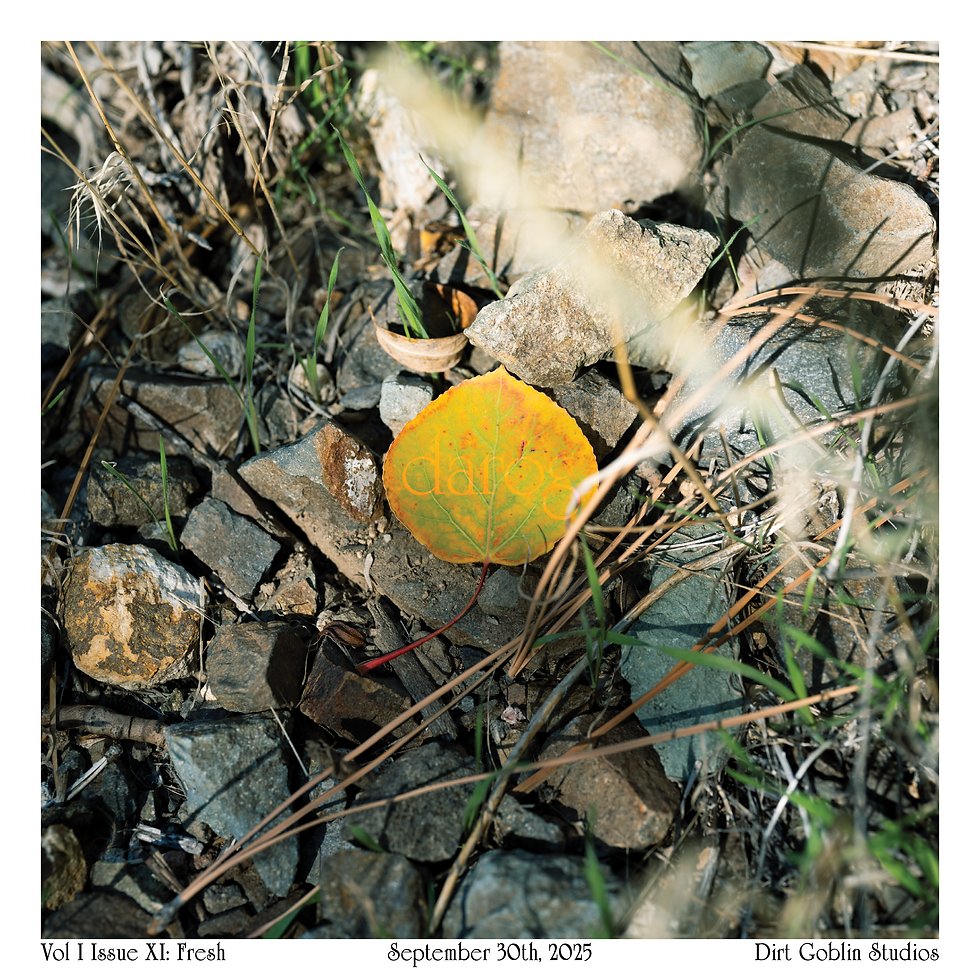 Thumbnail: Eco-printed single issue of Daróg